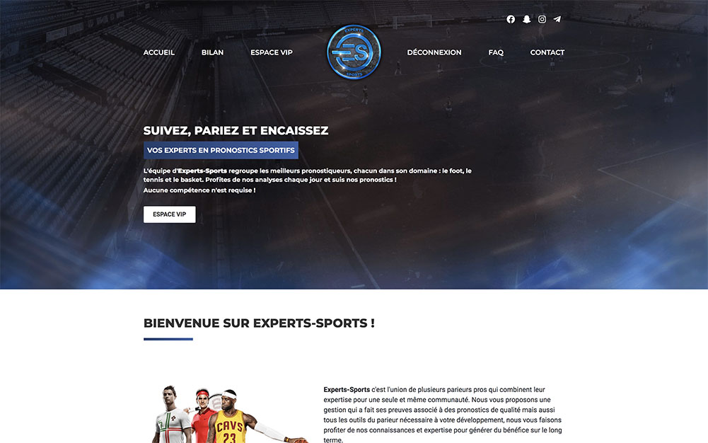 Experts-Sports